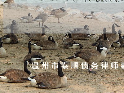 温州市泰顺债务律师事务所 温州市泰顺债务律师事务所