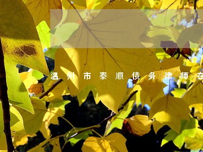 温州市泰顺债务律师在线咨询 温州市泰顺债务律师在线咨询