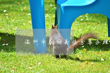 温州市泰顺县债务案办理律师网站