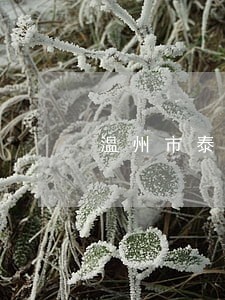 温州市泰顺县债务诉讼律师 温州市泰顺县债务诉讼律师