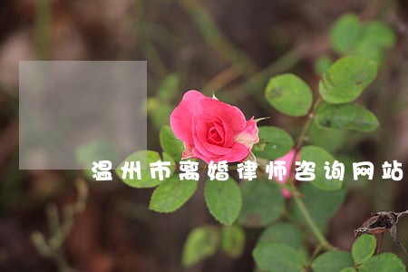 温州市离婚律师咨询网站