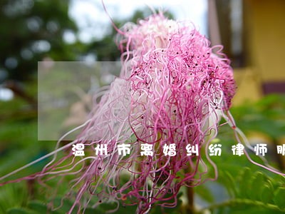 温州市离婚纠纷律师服务网站