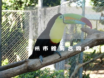 温州市赠与合同律师费用标准