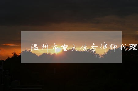 温州市重大债务律师代理费 温州市重大债务律师代理费