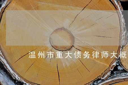 温州市重大债务律师大概多少钱 温州市重大债务律师大概多少钱