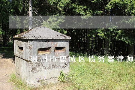 温州市鹿城区债务案律师费用 温州市鹿城区债务案律师费用