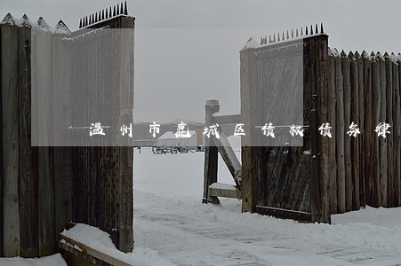 温州市鹿城区债权债务律师多少钱 温州市鹿城区债权债务律师多少钱