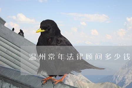 温州常年法律顾问多少钱 温州常年法律顾问多少钱