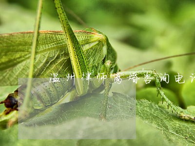 温州律师离婚咨询电话 温州律师离婚咨询电话