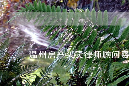 温州房产买卖律师顾问费 温州房产买卖律师顾问费
