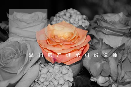 温州房产继承纠纷律师 温州房产继承纠纷律师