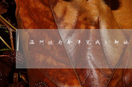 温州政府今年完成3部地方立法 温州政府今年完成3部地方立法