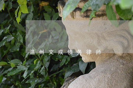 温州文成债务律师 温州文成债务律师