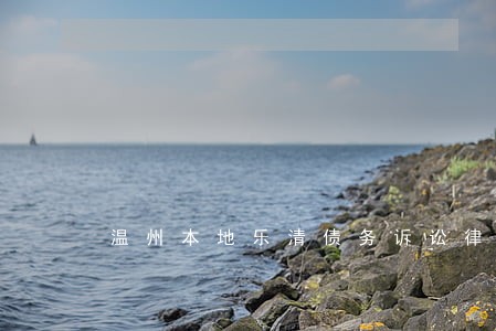 温州本地乐清债务诉讼律师 温州本地乐清债务诉讼律师