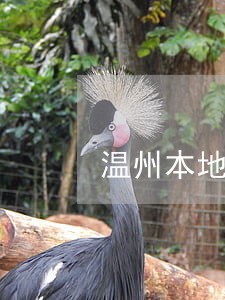 温州本地乐清市债务合同律师 温州本地乐清市债务合同律师