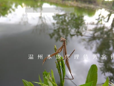 温州本地代理债务案律师哪个好 温州本地代理债务案律师哪个好