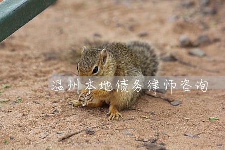 温州本地债务律师咨询 温州本地债务律师咨询