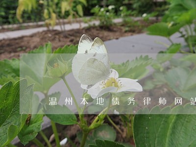 温州本地债务律师网站 温州本地债务律师网站