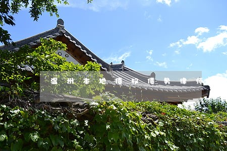 温州本地债权债务律师事务所