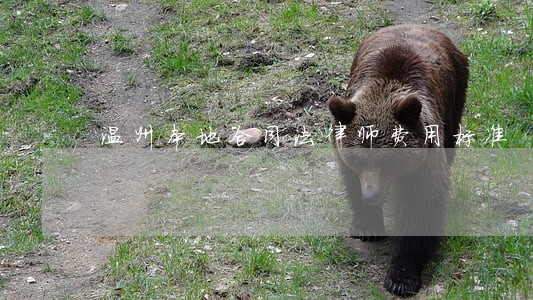 温州本地合同法律师费用标准 温州本地合同法律师费用标准
