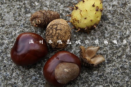 温州本地鹿城区债权债务律师 温州本地鹿城区债权债务律师