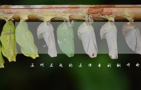 温州正规的法律专利翻译价格