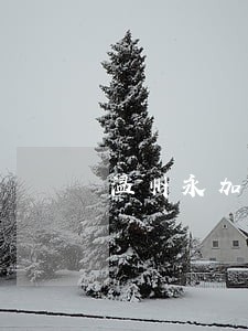 温州永加法院土地使用权拍卖 温州永加法院土地使用权拍卖