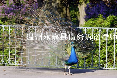 温州永嘉县债务诉讼律师事务所 温州永嘉县债务诉讼律师事务所