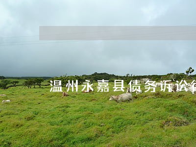 温州永嘉县债务诉讼律师费用标准 温州永嘉县债务诉讼律师费用标准