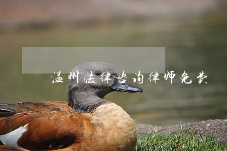 温州法律咨询律师免费 温州法律咨询律师免费