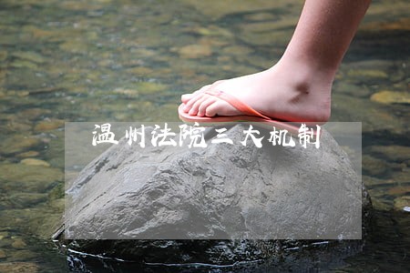 温州法院三大机制