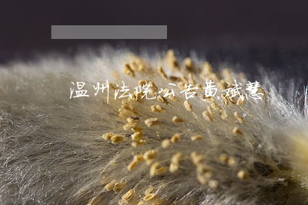 温州法院公告黄斌慧 温州法院公告黄斌慧