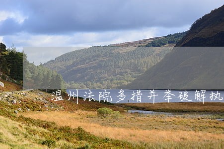 温州法院多措并举破解执行难 温州法院多措并举破解执行难