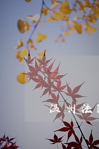 温州法院拍卖鹿城区房