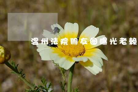 温州法院朋友圈曝光老赖