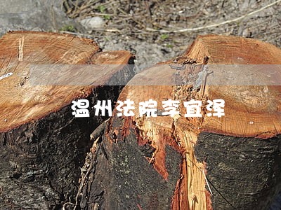 温州法院李宜泽 温州法院李宜泽