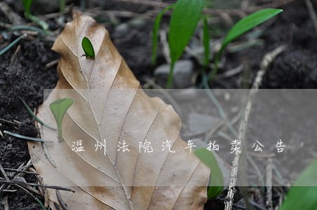 温州法院汽车拍卖公告 温州法院汽车拍卖公告