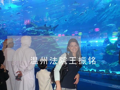温州法院王振铭 温州法院王振铭