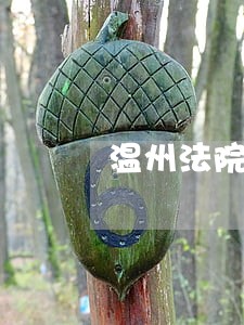 温州法院选调法警