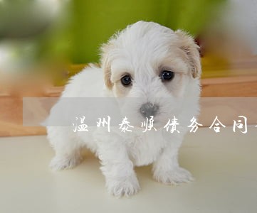 温州泰顺债务合同律师预约