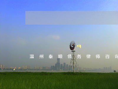 温州泰顺债务律师咨询热线 温州泰顺债务律师咨询热线