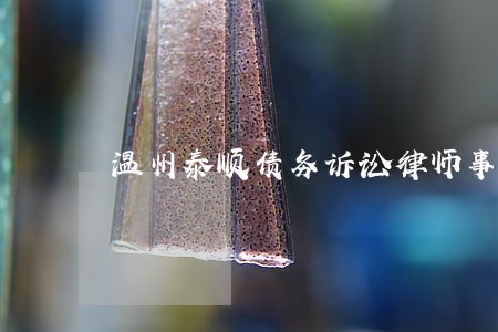 温州泰顺债务诉讼律师事务所