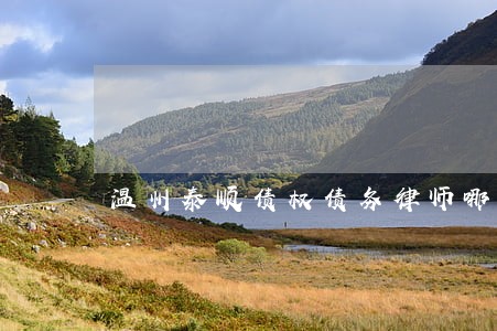 温州泰顺债权债务律师哪个好 温州泰顺债权债务律师哪个好
