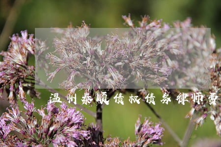 温州泰顺债权债务律师费用 温州泰顺债权债务律师费用