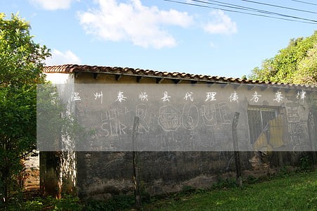 温州泰顺县代理债务案律师事务所