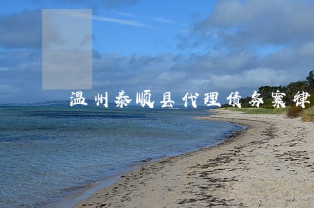 温州泰顺县代理债务案律师哪个好 温州泰顺县代理债务案律师哪个好