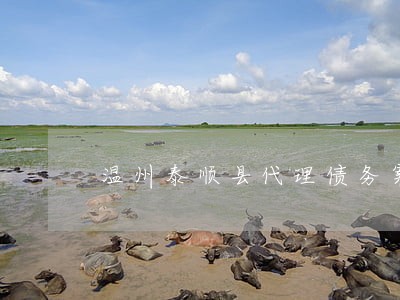 温州泰顺县代理债务案律师费用 温州泰顺县代理债务案律师费用