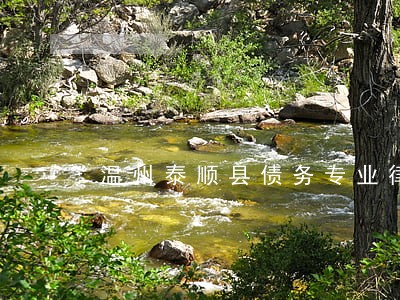 温州泰顺县债务专业律师排名 温州泰顺县债务专业律师排名