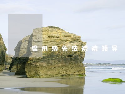 温州洞头法院院领导 温州洞头法院院领导