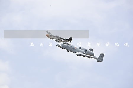 温州海关年报逾期情况说明 温州海关年报逾期情况说明